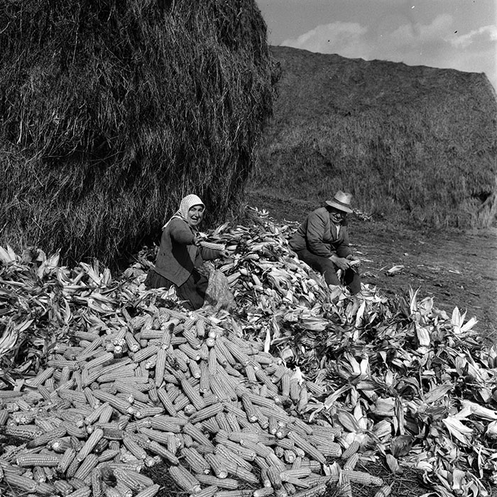 minerva_1970_Agrare_c1_c6r4_009