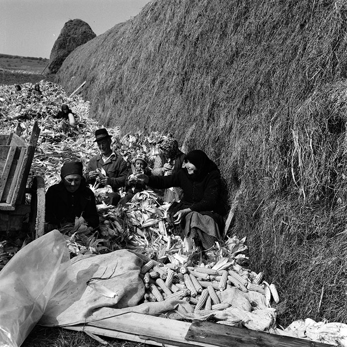 minerva_1970_Agrare_c1_c6r4_010