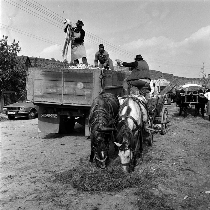 minerva_1970_Agrare_c1_c6r4_011