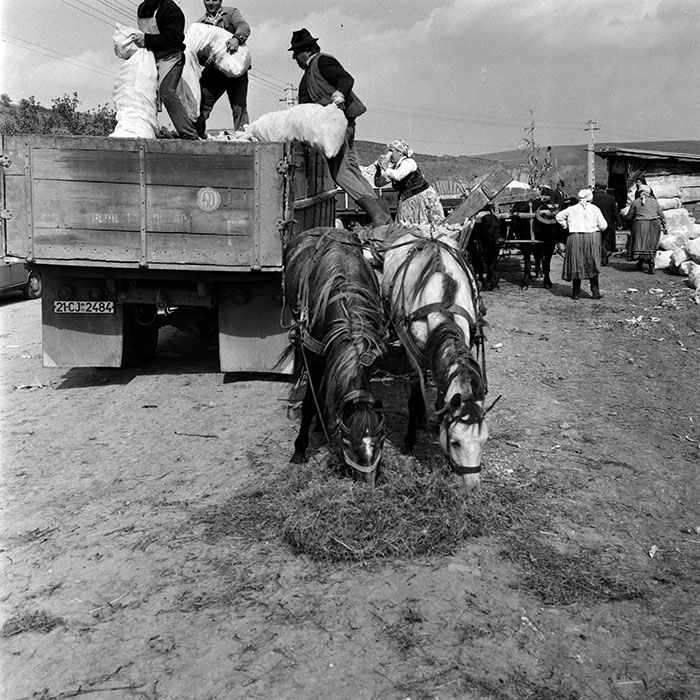 minerva_1970_Agrare_c1_c6r4_012