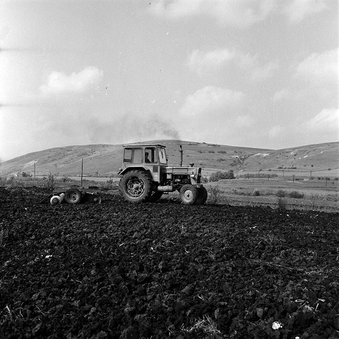 minerva_1970_Agrare_c1_c6r4_015