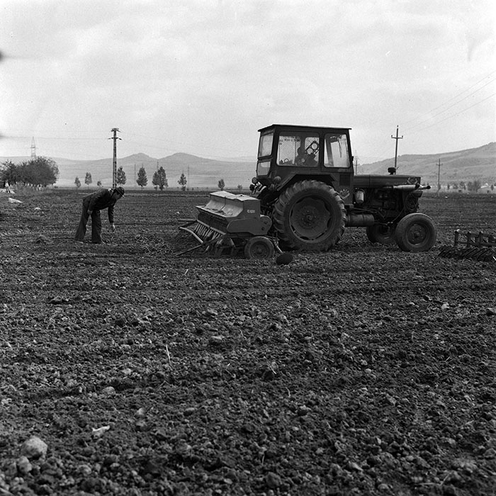 minerva_1970_Agrare_c1_c6r4_020