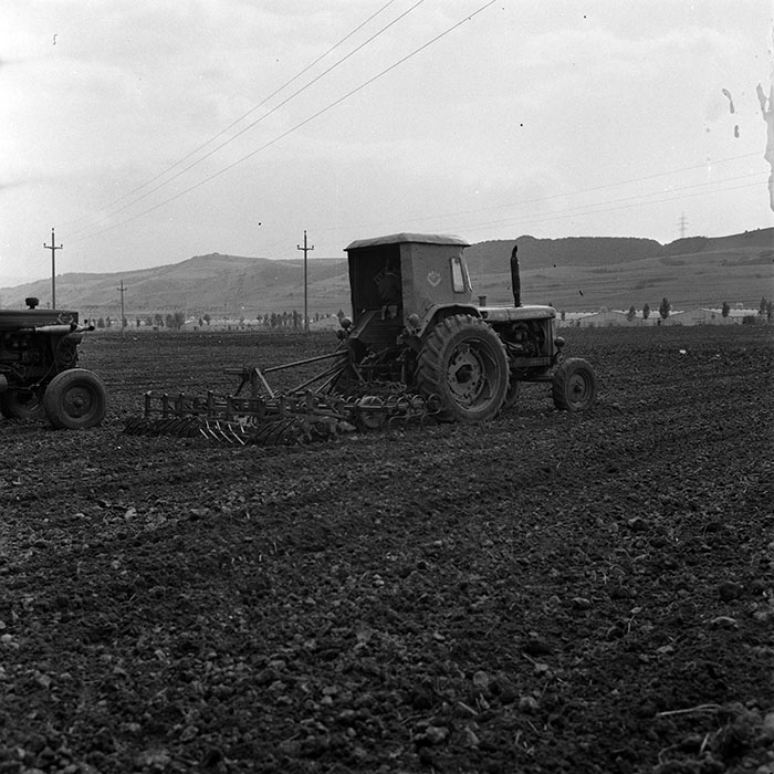 minerva_1970_Agrare_c1_c6r4_022