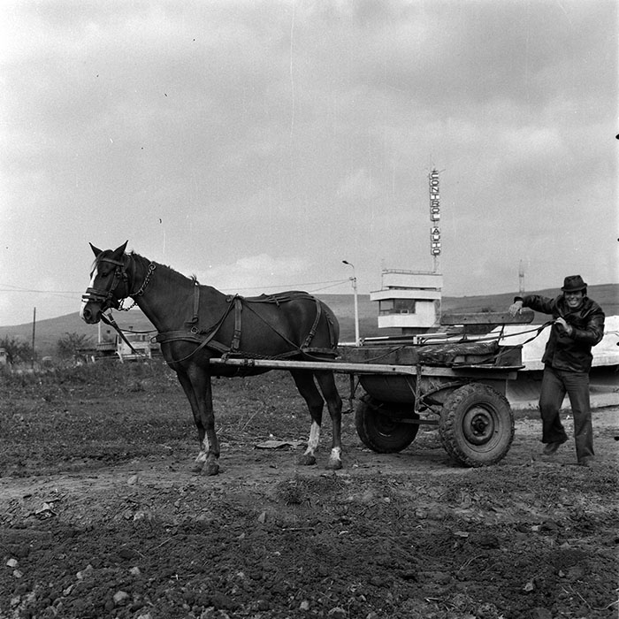 minerva_1970_Agrare_c1_c6r4_024