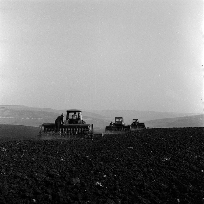 minerva_1970_Agrare_c1_c6r4_028