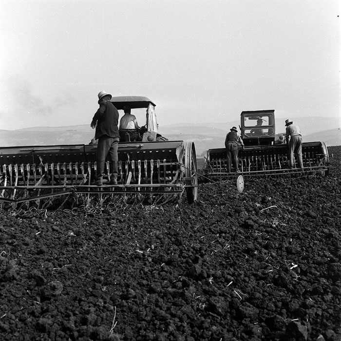 minerva_1970_Agrare_c1_c6r4_029