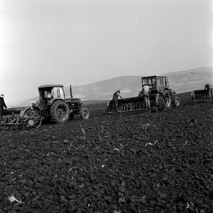 minerva_1970_Agrare_c1_c6r4_030