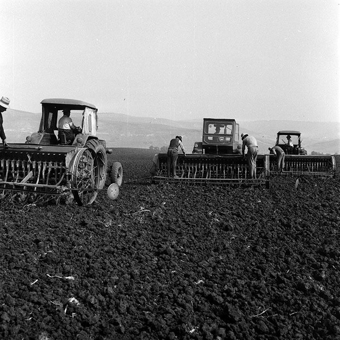 minerva_1970_Agrare_c1_c6r4_031