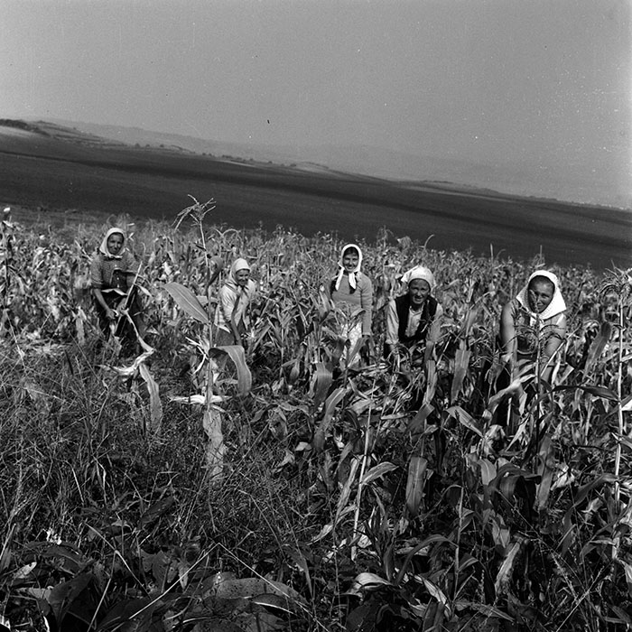 minerva_1970_Agrare_c1_c6r4_034