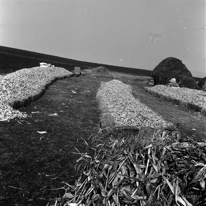 minerva_1970_Agrare_c1_c6r4_035