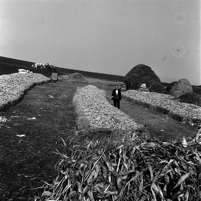 minerva_1970_Agrare_c1_c6r4_036