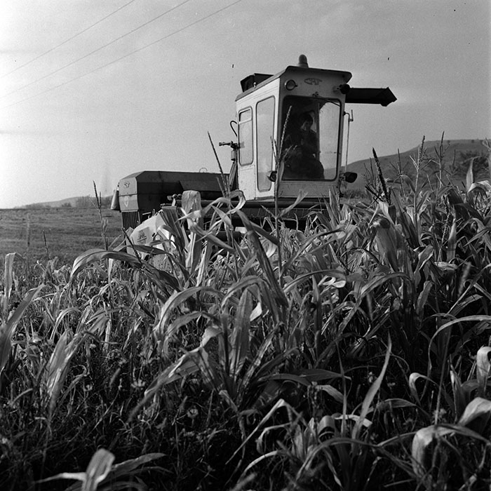 minerva_1970_Agrare_c1_c6r4_041