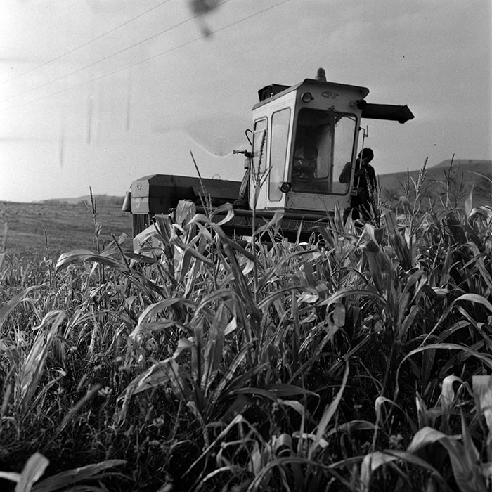 minerva_1970_Agrare_c1_c6r4_042