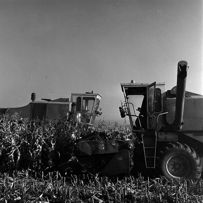 minerva_1970_Agrare_c1_c6r5_001