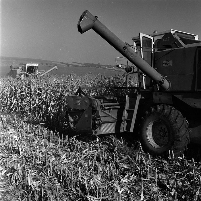 minerva_1970_Agrare_c1_c6r5_002