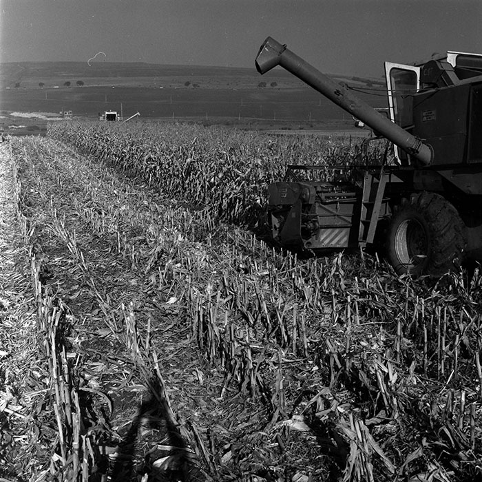 minerva_1970_Agrare_c1_c6r5_003