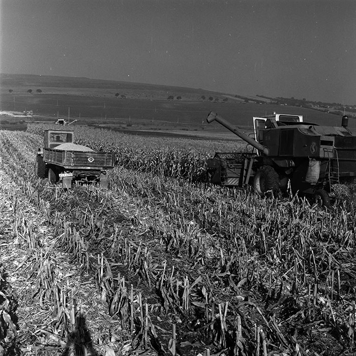 minerva_1970_Agrare_c1_c6r5_004