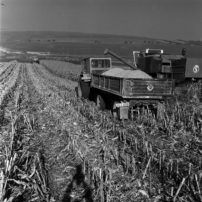 minerva_1970_Agrare_c1_c6r5_005