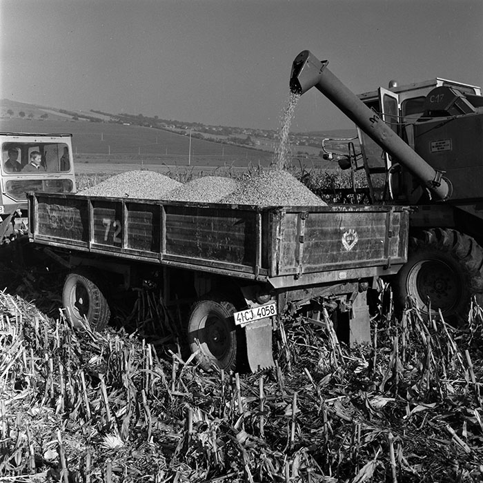 minerva_1970_Agrare_c1_c6r5_006