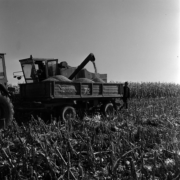 minerva_1970_Agrare_c1_c6r5_007