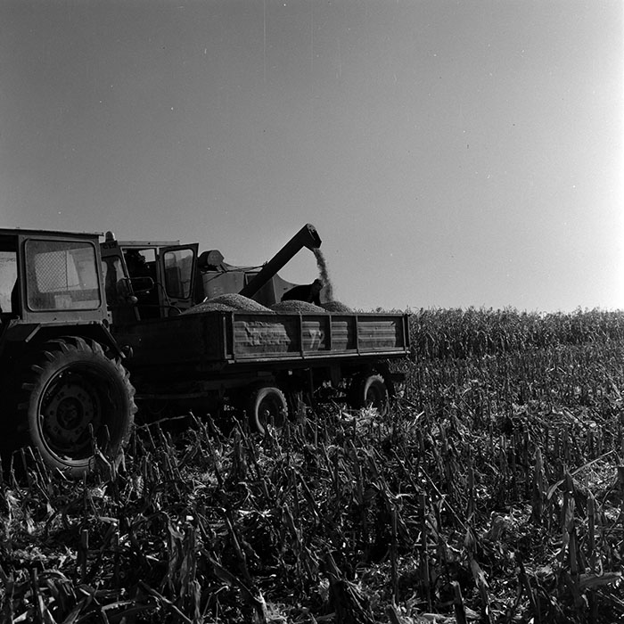 minerva_1970_Agrare_c1_c6r5_008