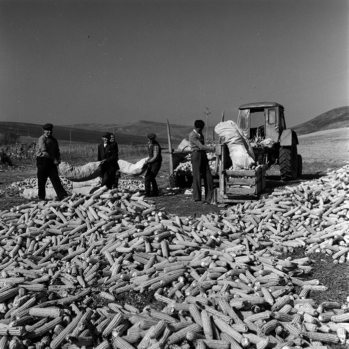 minerva_1970_Agrare_c1_c6r5_014