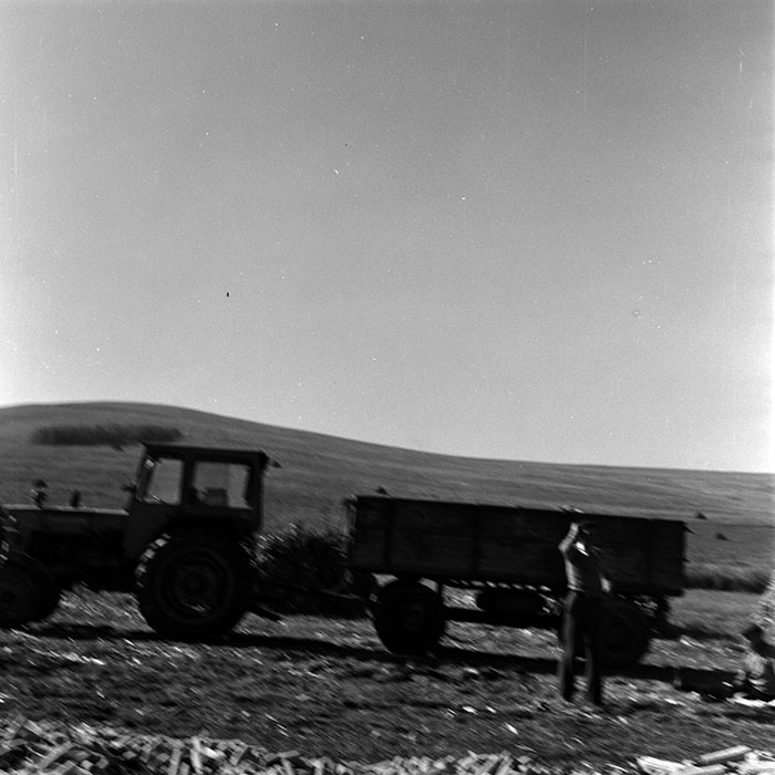 minerva_1970_Agrare_c1_c6r5_015