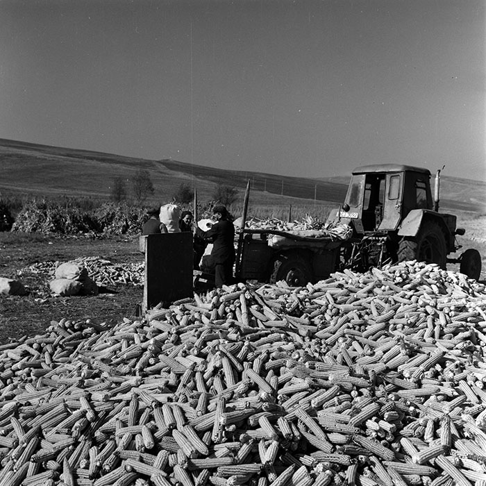 minerva_1970_Agrare_c1_c6r5_016