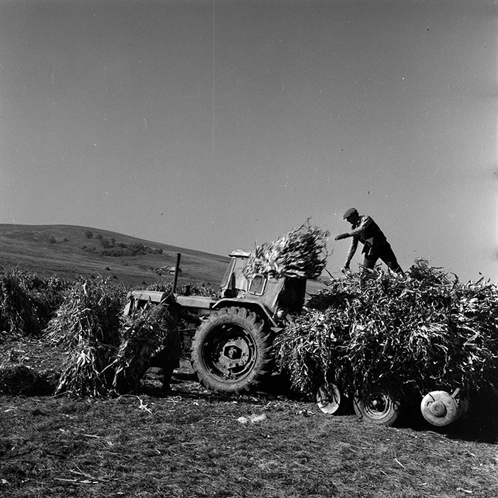 minerva_1970_Agrare_c1_c6r5_018