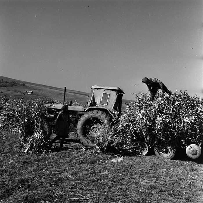 minerva_1970_Agrare_c1_c6r5_019