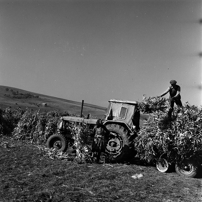 minerva_1970_Agrare_c1_c6r5_020