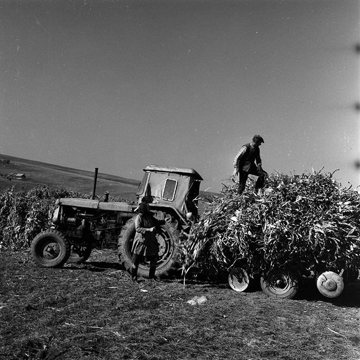 minerva_1970_Agrare_c1_c6r5_021