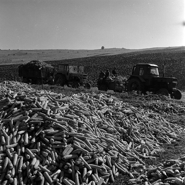 minerva_1970_Agrare_c1_c6r5_023