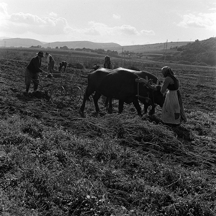 minerva_1970_Agrare_c1_c7r1_004