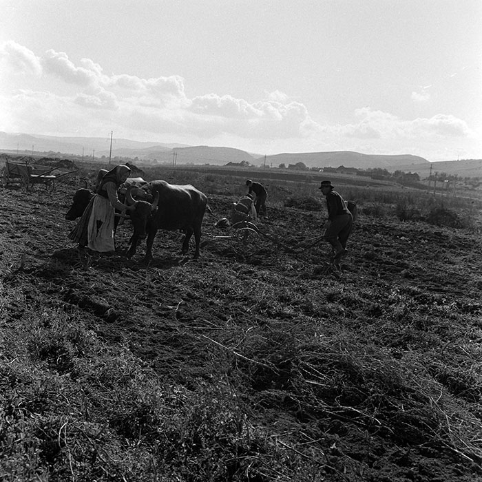 minerva_1970_Agrare_c1_c7r1_005