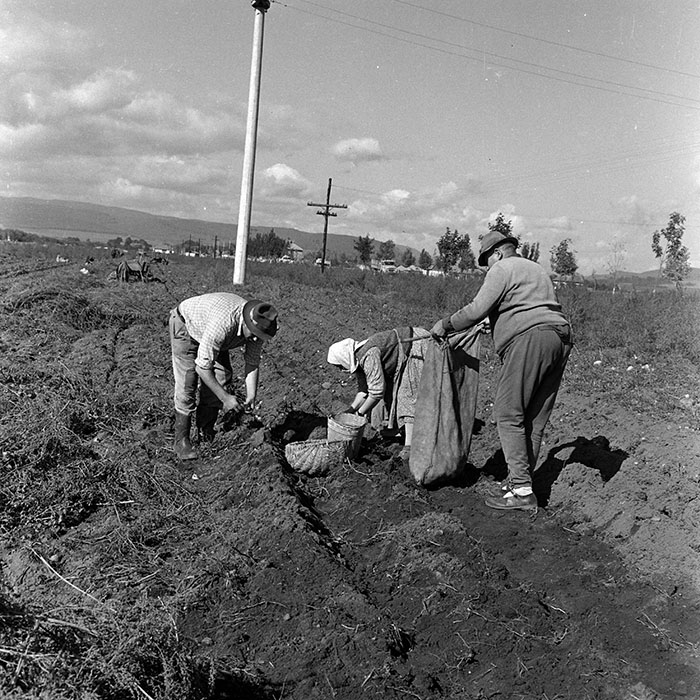 minerva_1970_Agrare_c1_c7r1_007