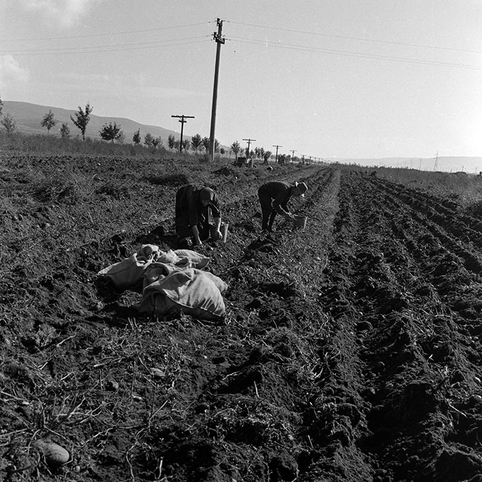 minerva_1970_Agrare_c1_c7r1_009