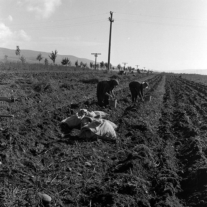 minerva_1970_Agrare_c1_c7r1_010