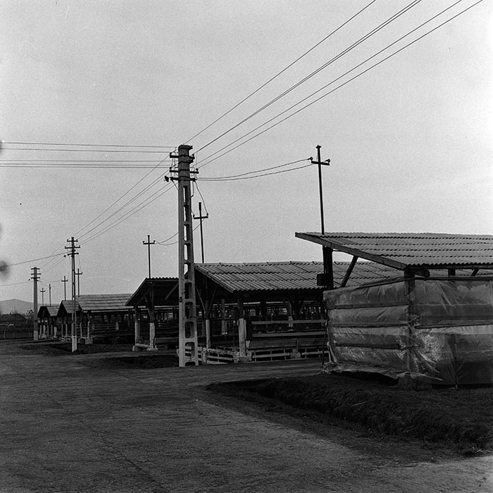 minerva_1970_Agrare_c1_c7r1_013