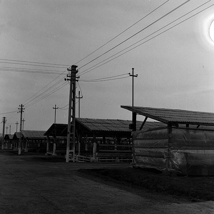 minerva_1970_Agrare_c1_c7r1_014