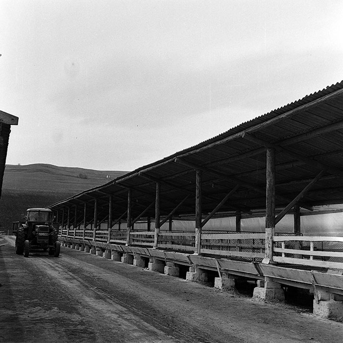 minerva_1970_Agrare_c1_c7r1_015