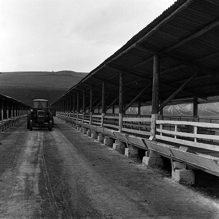 minerva_1970_Agrare_c1_c7r1_016