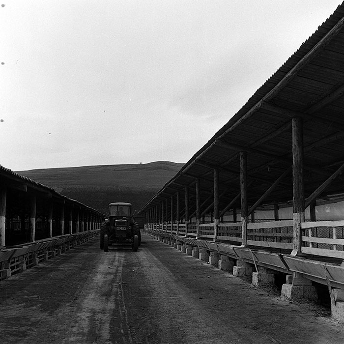 minerva_1970_Agrare_c1_c7r1_017