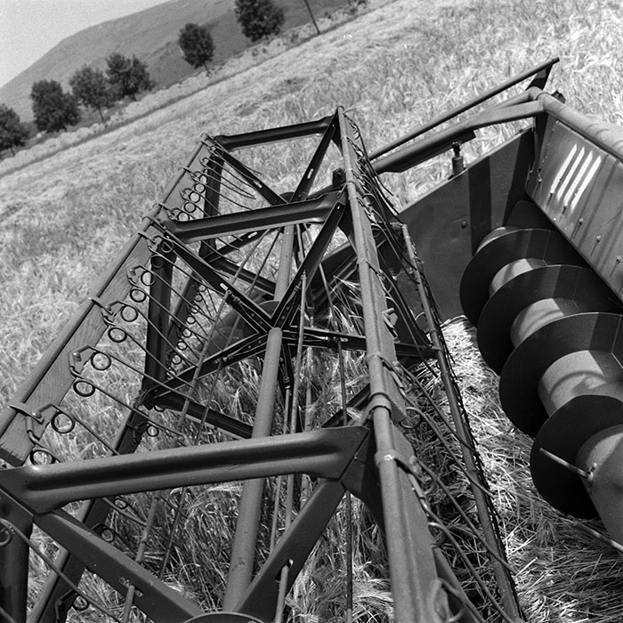 minerva_1970_Agrare_c1_c7r2_001