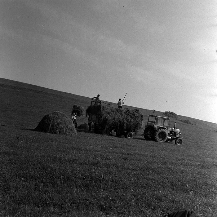 minerva_1970_Agrare_c1_c7r2_007