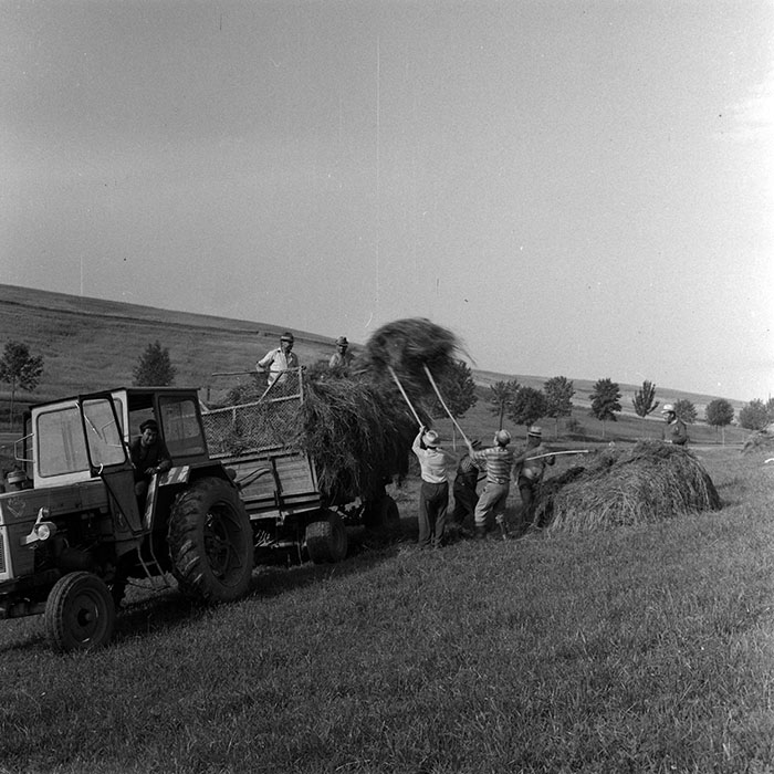 minerva_1970_Agrare_c1_c7r2_008