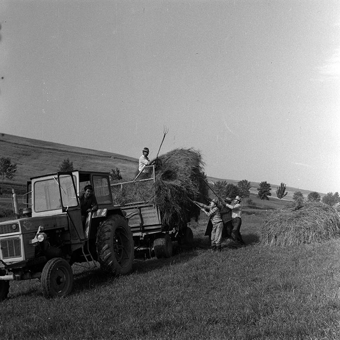 minerva_1970_Agrare_c1_c7r2_009