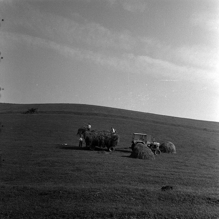 minerva_1970_Agrare_c1_c7r2_010