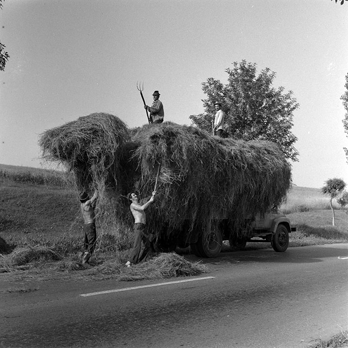 minerva_1970_Agrare_c1_c7r2_011