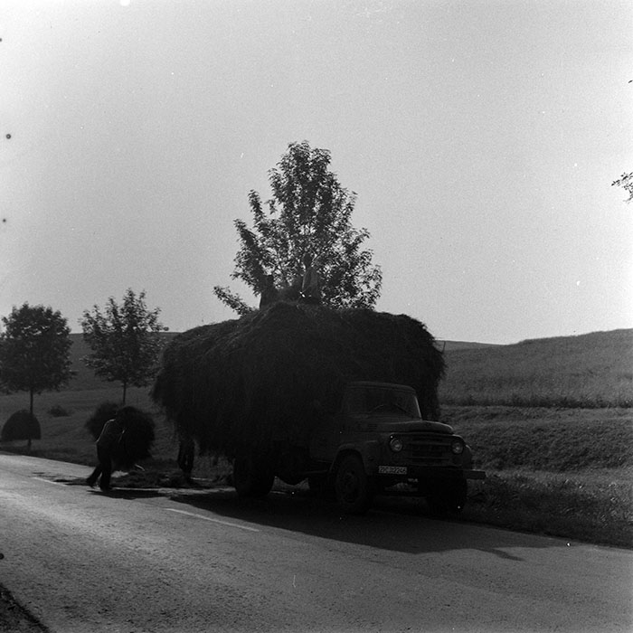 minerva_1970_Agrare_c1_c7r2_012